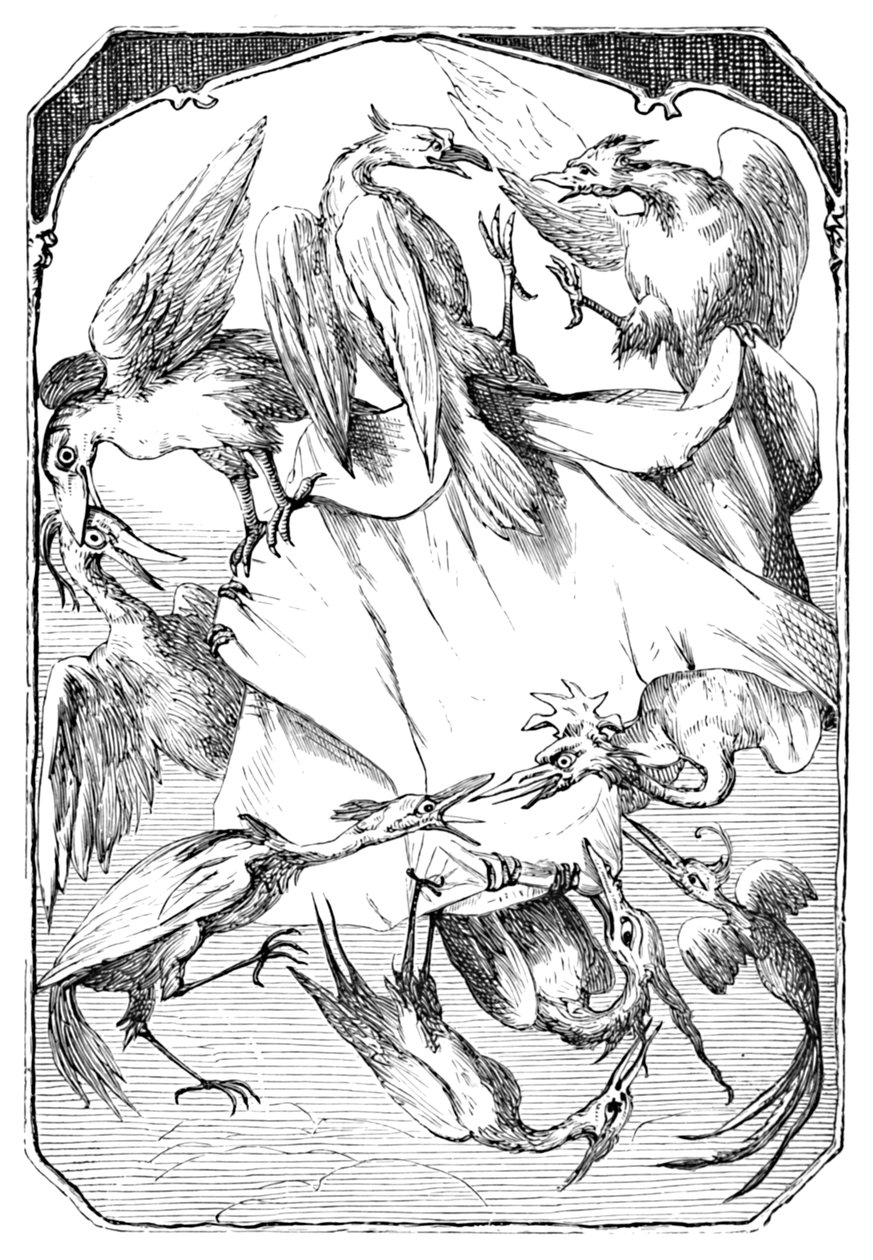 De Ezelkool, 1901 door Edward Henry Wehnert