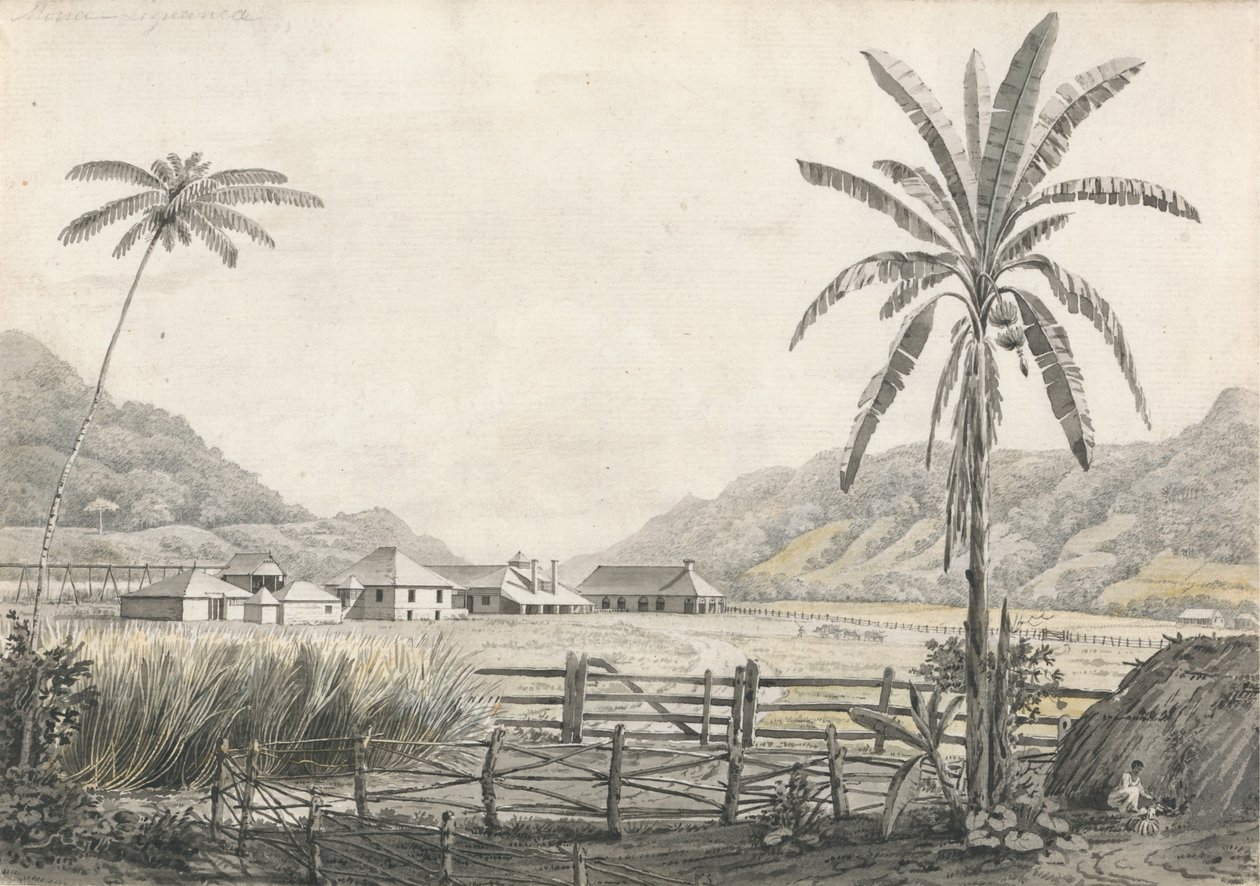 Een Uitzicht op Hall-head Suikerplantage, Jamaica door Edward Kennion