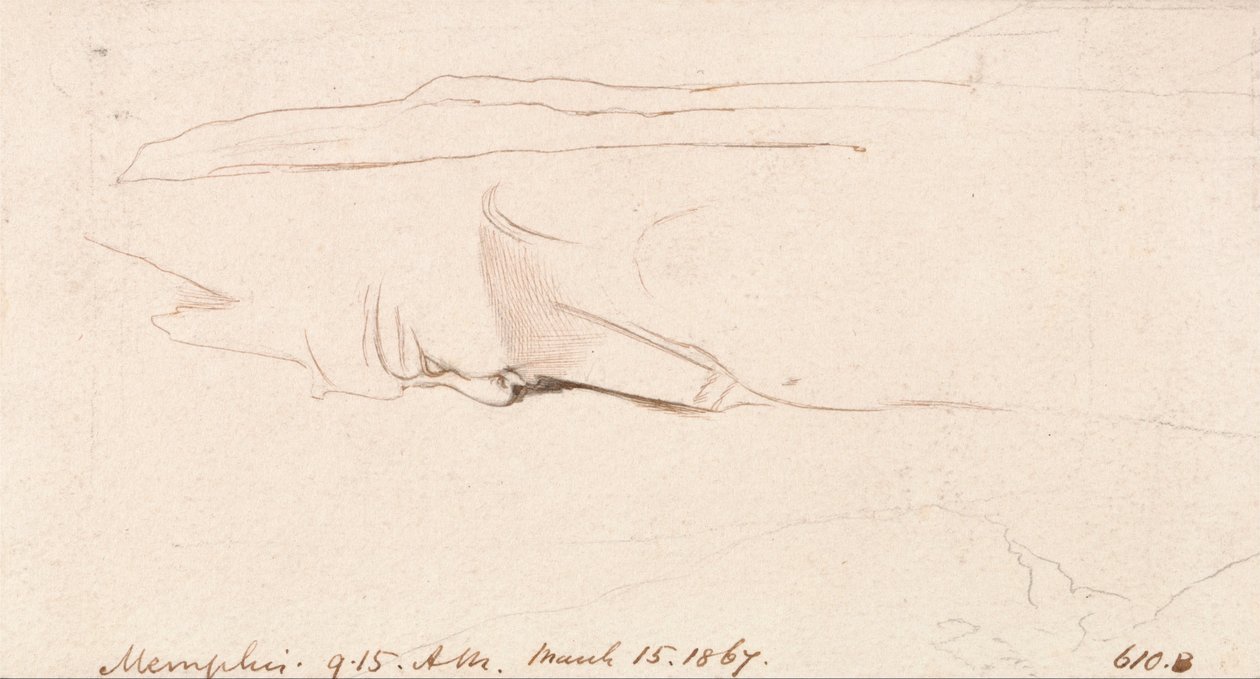 Memphis door Edward Lear
