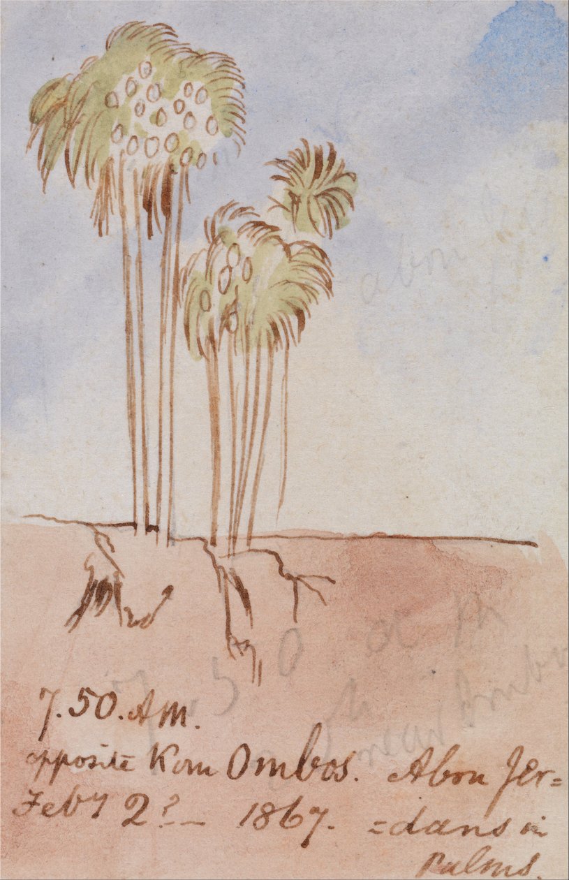 Tegenover Kom Ombos Abu Jer door Edward Lear