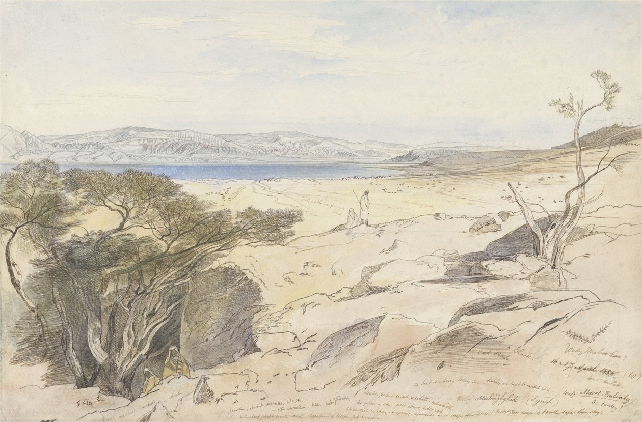 De Dode Zee door Edward Lear