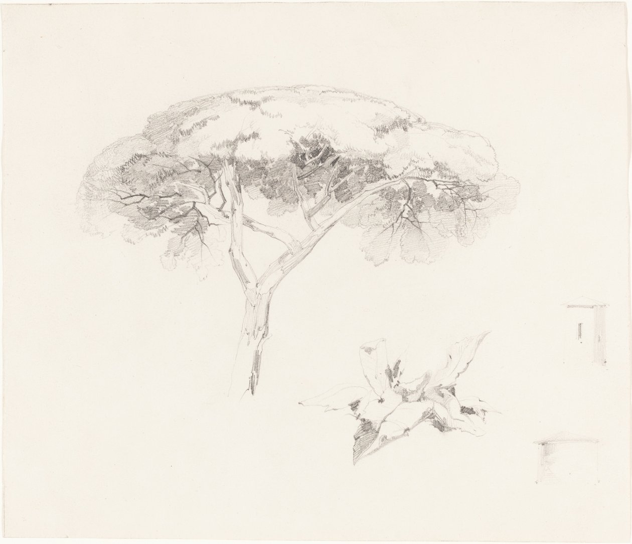 Parasol den en andere studies, 1839-1845 door Edward Lear