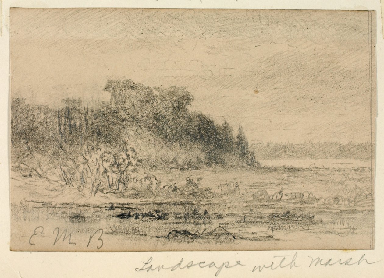 Landschap met moeras door Edward Mitchell Bannister