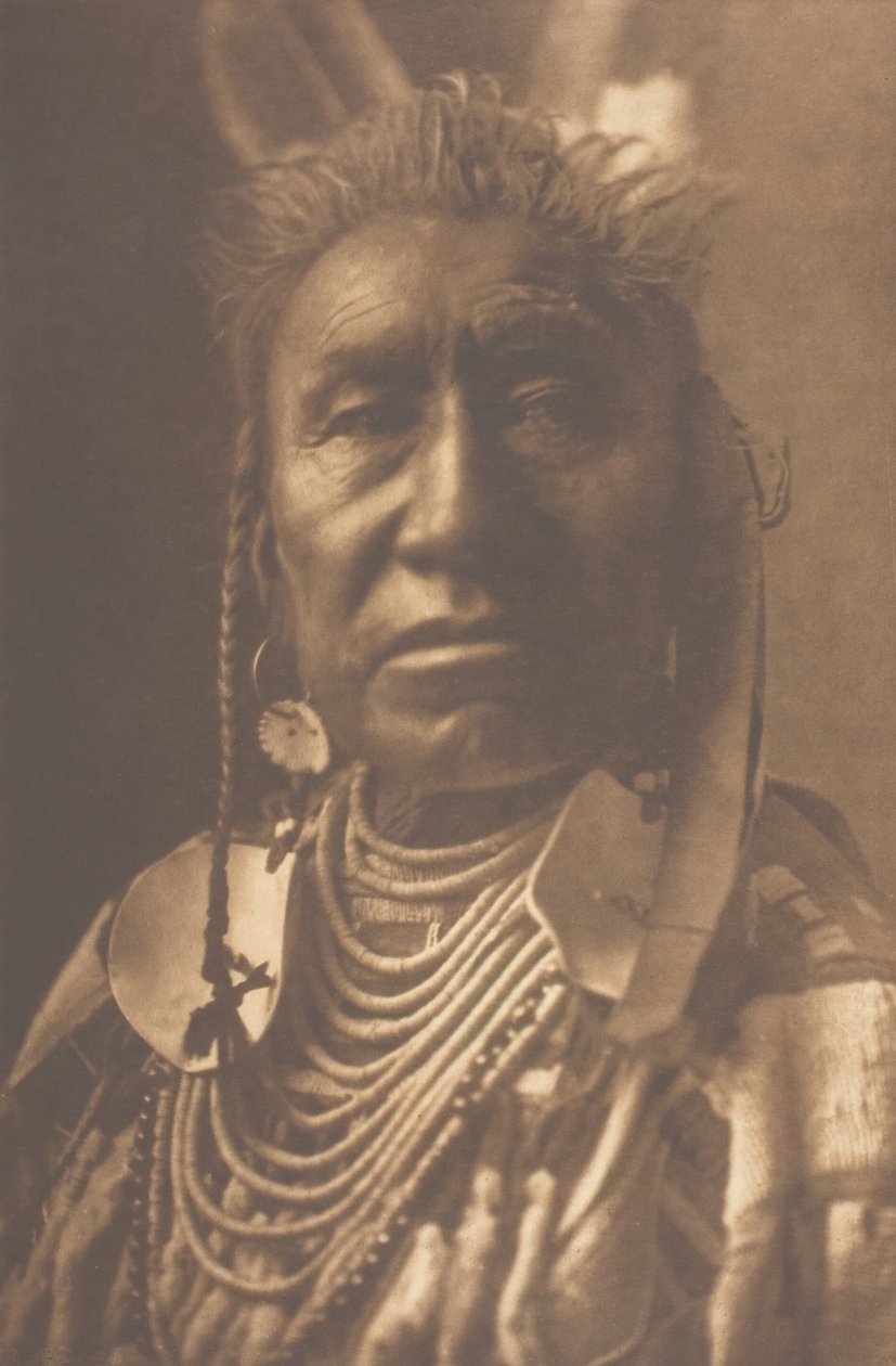 Vis shows - Apsaroke, 1908 door Edward Sheriff Curtis