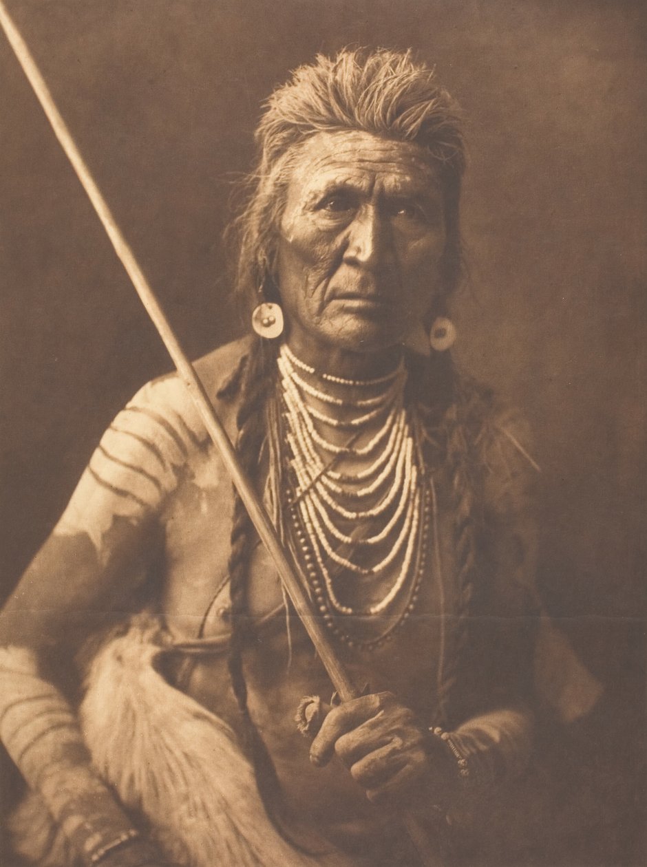 Wolf - Apsaroke, 1908 door Edward Sheriff Curtis