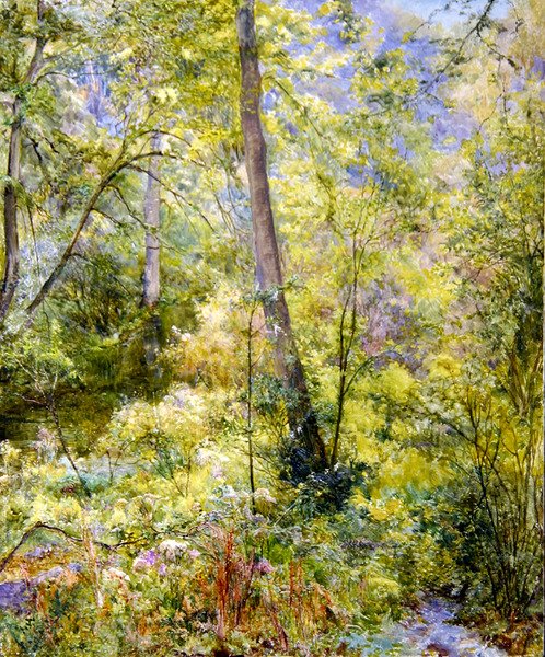 Gevlekt zonlicht, Sheepscombe Woods door Edward Steel Harper
