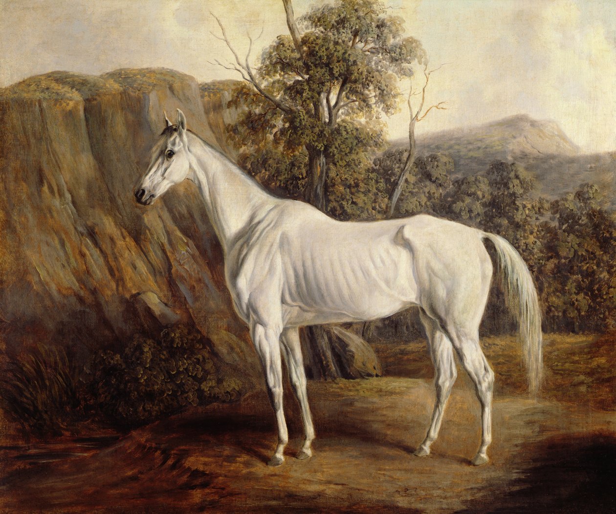Bolivia, 1836 door Edward Troye