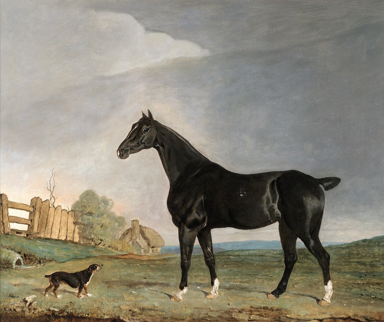 Een donkerbruine paard en een terriër in een landschap door Edwin W. Cooper