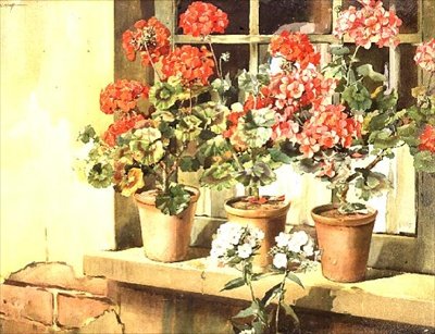 Geraniums door Edwin Byatt