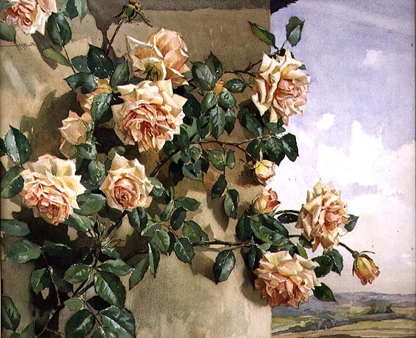 Rozen op een Muur door Edwin Byatt