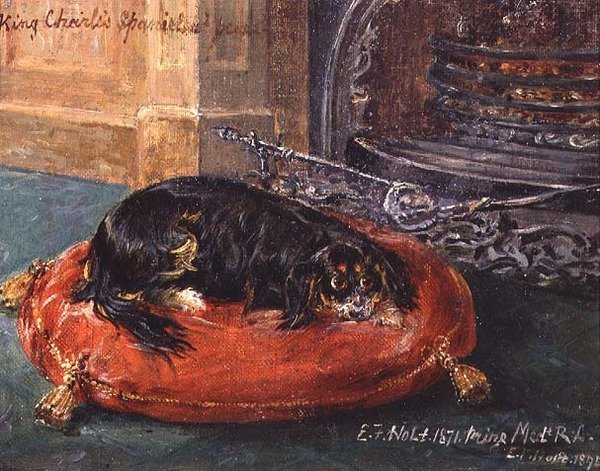 King Charles Spaniel in Rust door Edwin Frederick Holt