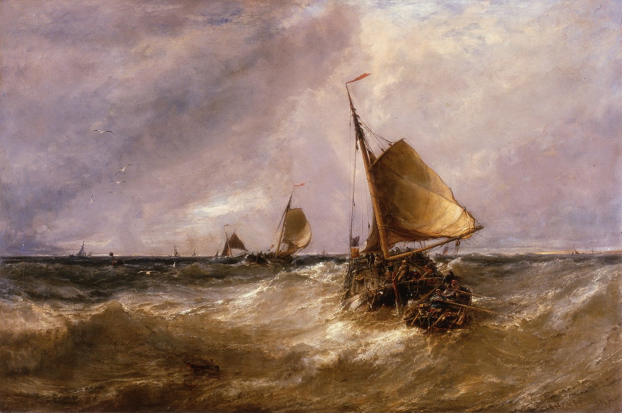 Nederlandse Pinks door Edwin Hayes