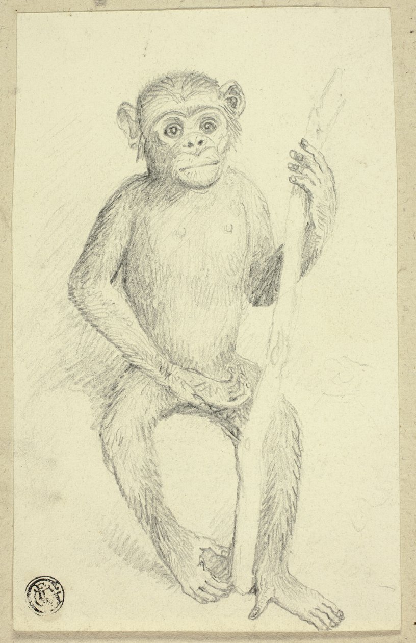 Orang-oetang door Edwin Henry Landseer
