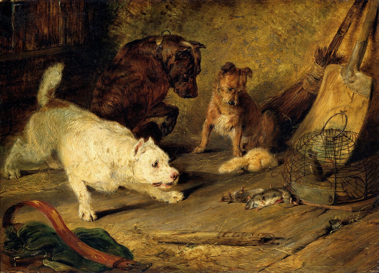 Rattenvangers door Edwin Henry Landseer