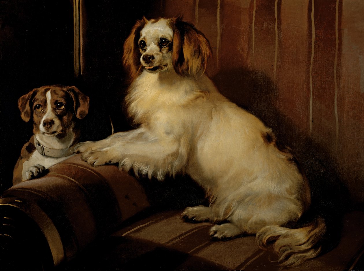 Bon(e)y en Var, c.1843 door Edwin Landseer