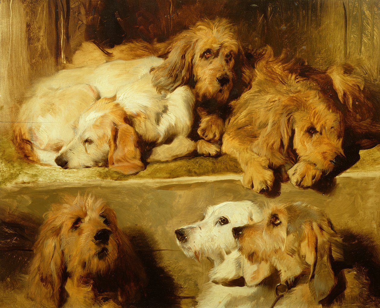 Honden in een kennel door Edwin Landseer