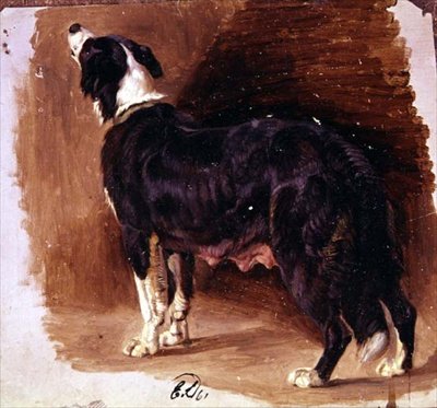 Schets van een Collie door Edwin Landseer