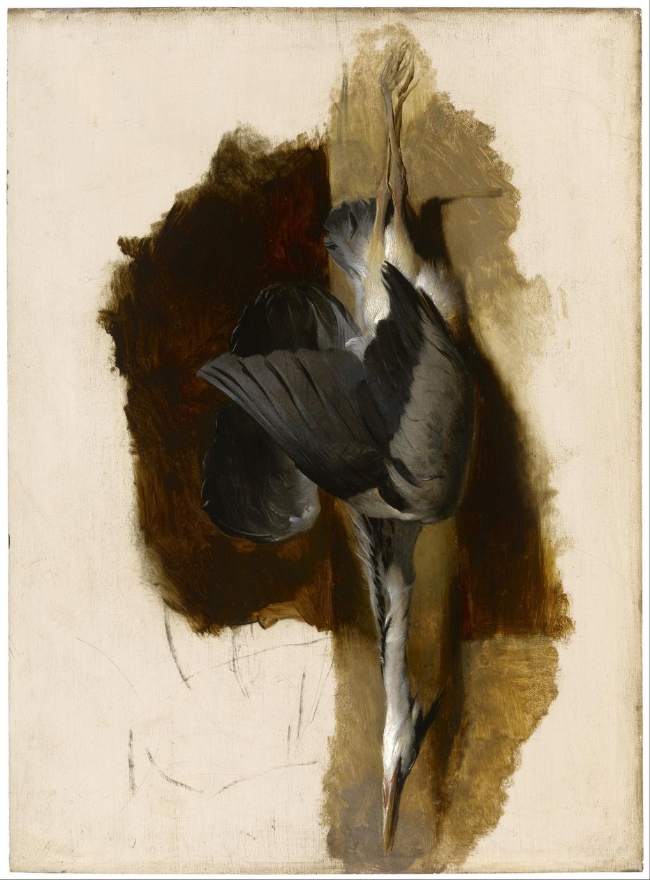Studie van een dode reiger door Edwin Landseer