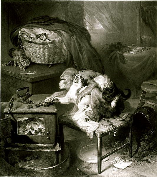 De kattenpoot door Edwin Landseer