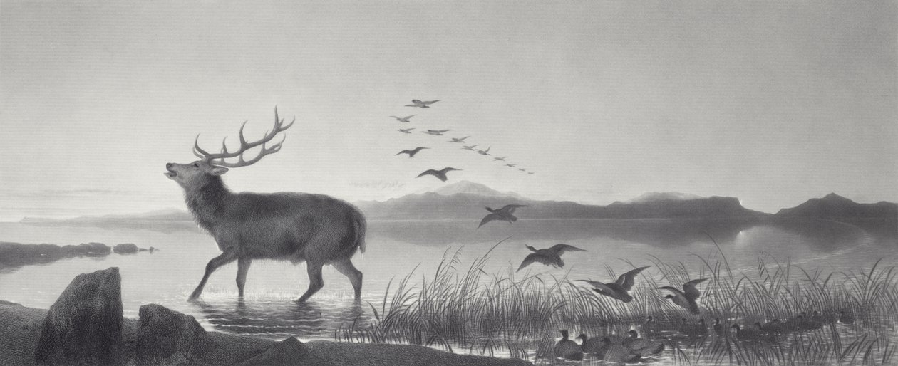 De Redding door Edwin Landseer
