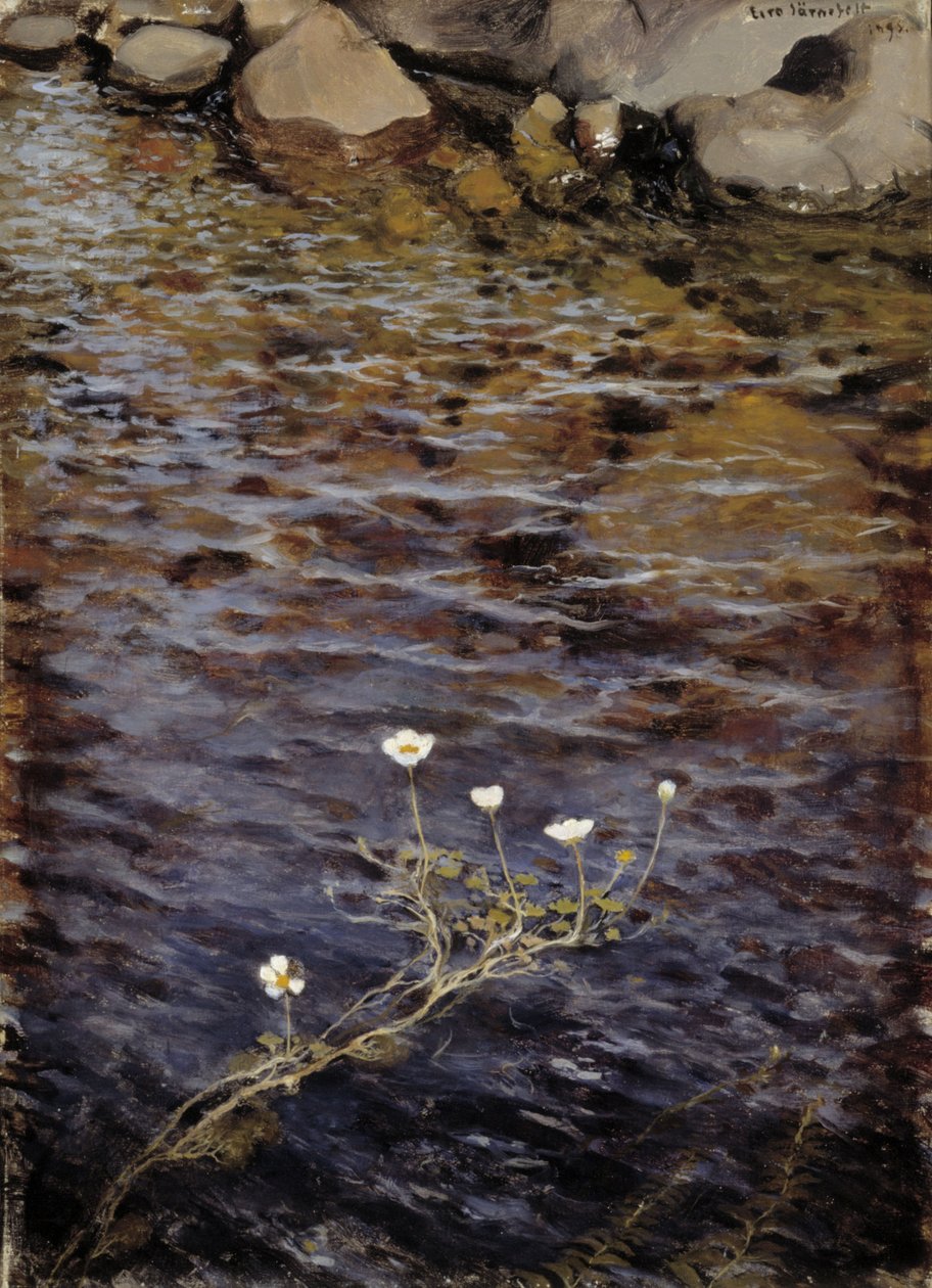 Waterranonkel door Eero Järnefelt