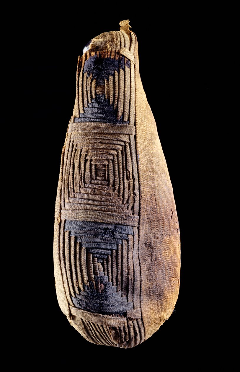 Mummie van een ibis, uit Abydos, Egypte door Egyptian