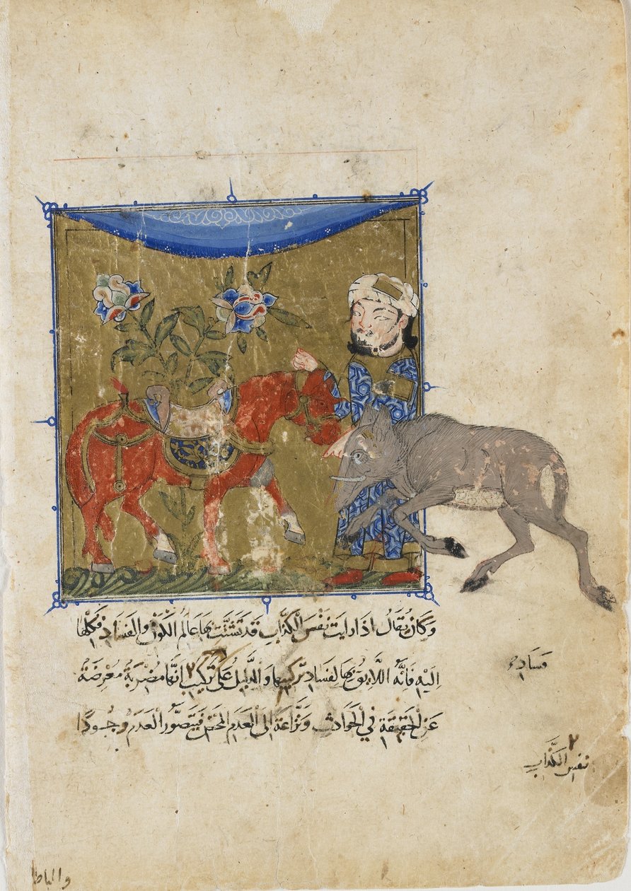 Het Zwijn en het Paard, folio uit een Sulwan al-Muta door Ibn Zafar, Mamluk dynastie, c.1335 door Egyptian