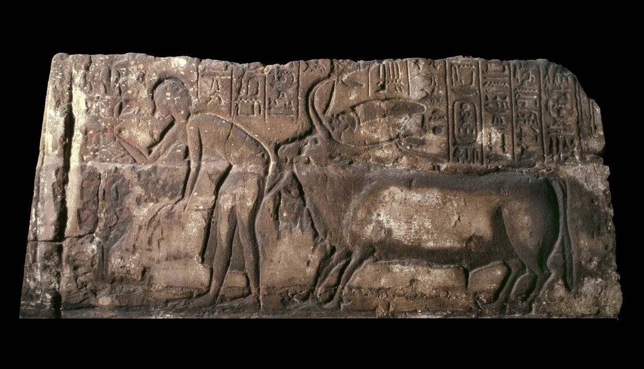 Zandsteenblok met afbeelding van Satepatenkhay die een offerstier presenteert, 1333-23 v.Chr. door Egyptian 18th Dynasty