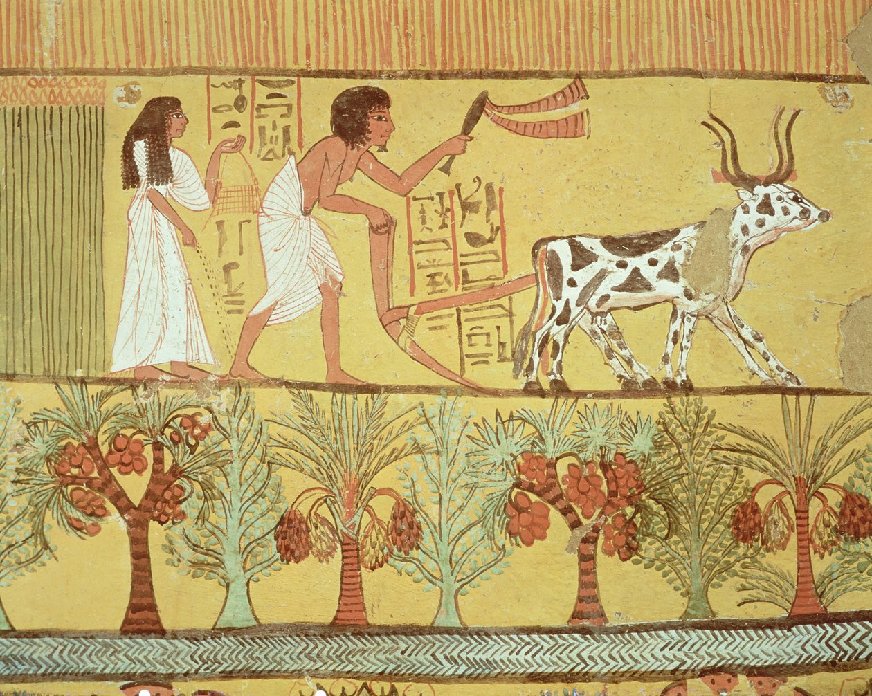 Sennedjem en zijn vrouw in de velden aan het zaaien en ploegen, uit het graf van Sennedjem door Egyptian 19th Dynasty