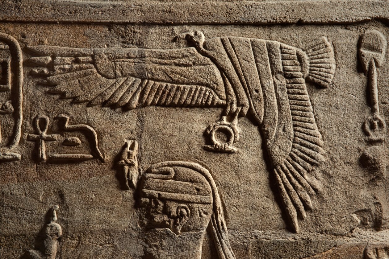 Reliëf op een schrijn opgericht door Farao Taharqa in de hof van de Tempel van Amon gebouwd door hem in Kawa in Nubië, 25e Dynastie, Late Periode (detail) door Egyptian 25th Dynasty