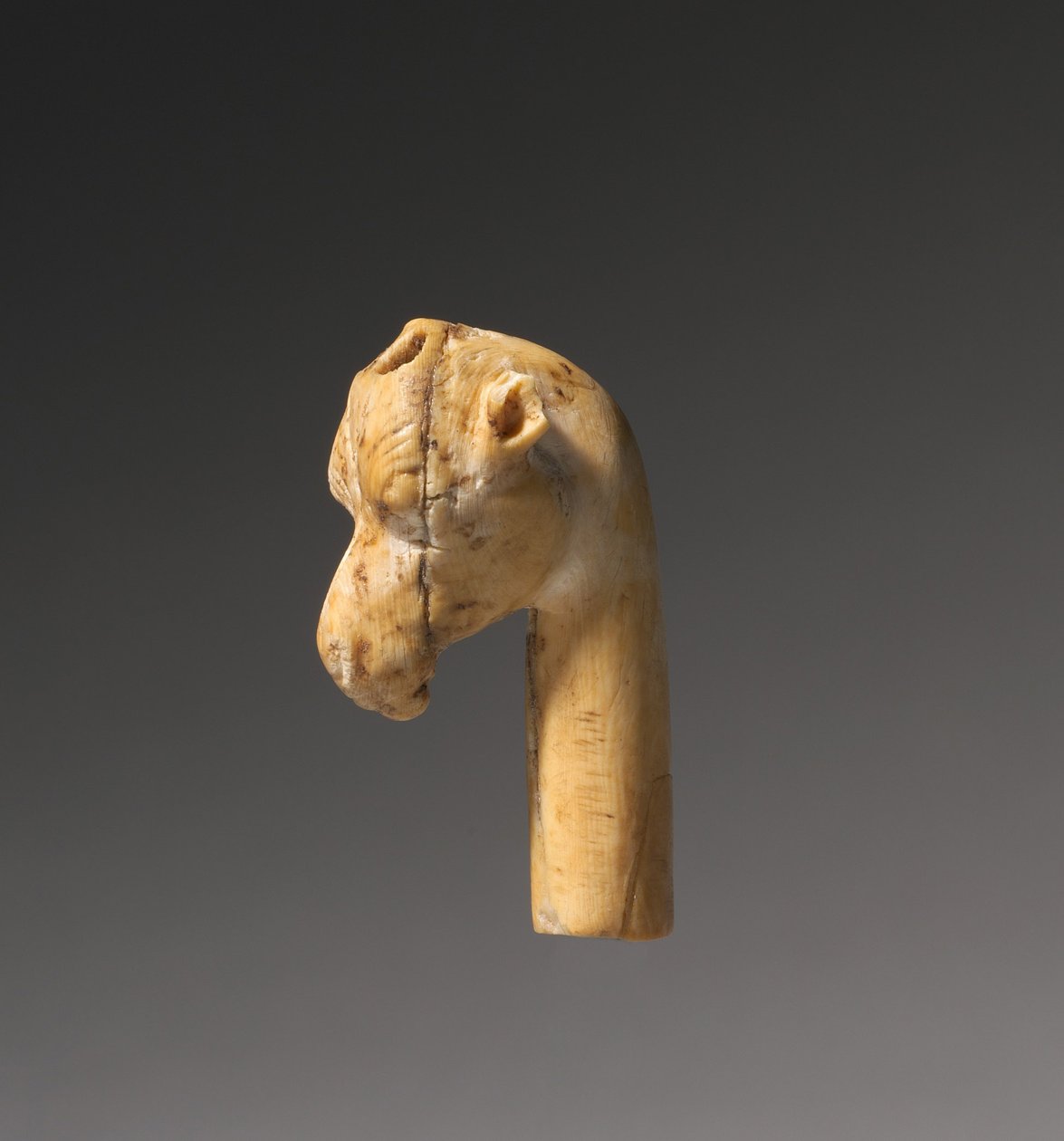 Giraffenkop, ca. 1540-1296 v.Chr. door Egyptian 18th Dynasty