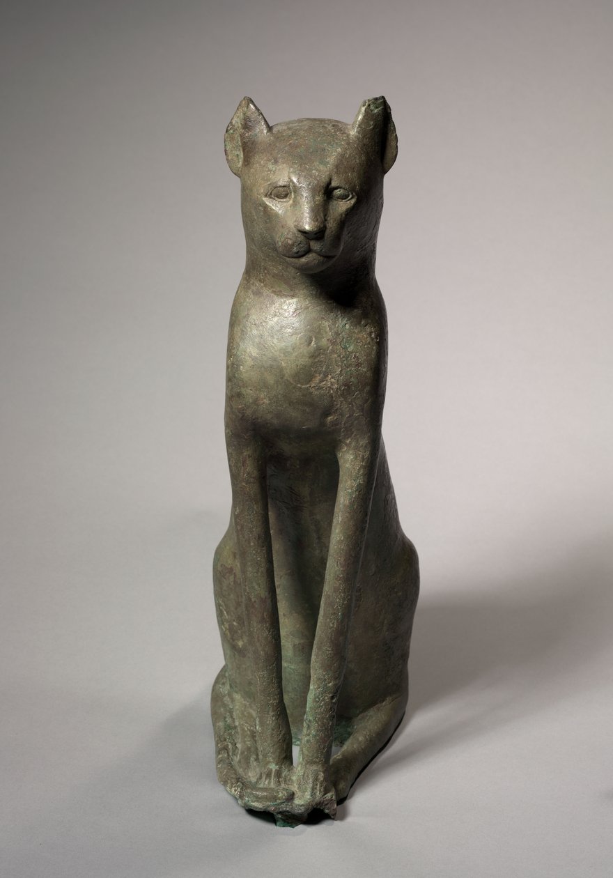 Kattenkist door Egyptian Ptolemaic Period