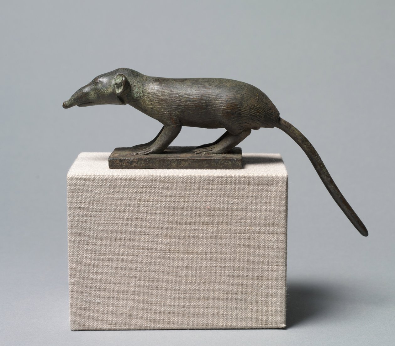 Spitsmuis, 305-30 v.Chr. door Egyptian Ptolemaic Period