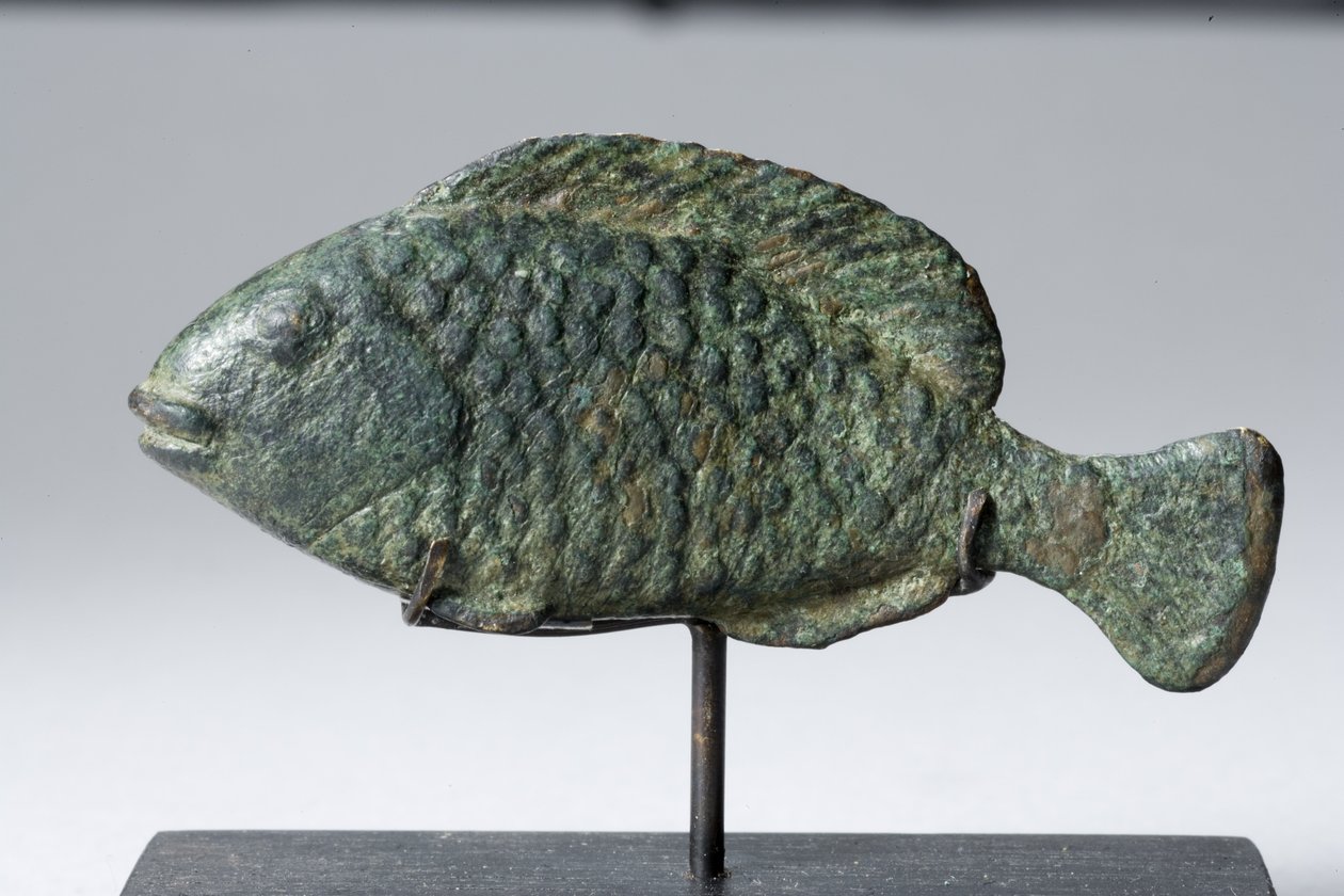 Tilapia vis door Egyptian Ptolemaic Period