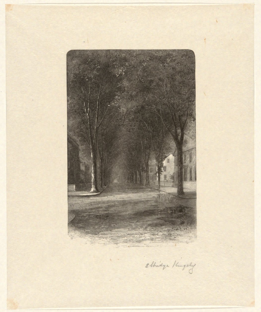 Zonder Titel [Met Bomen Omzoomde Straat] door Elbridge Kingsley