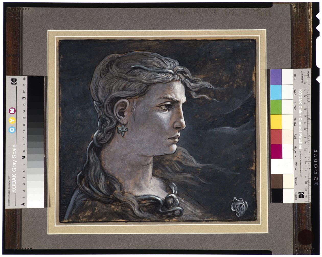 Hoofd van Medusa, 1878 door Elihu Vedder