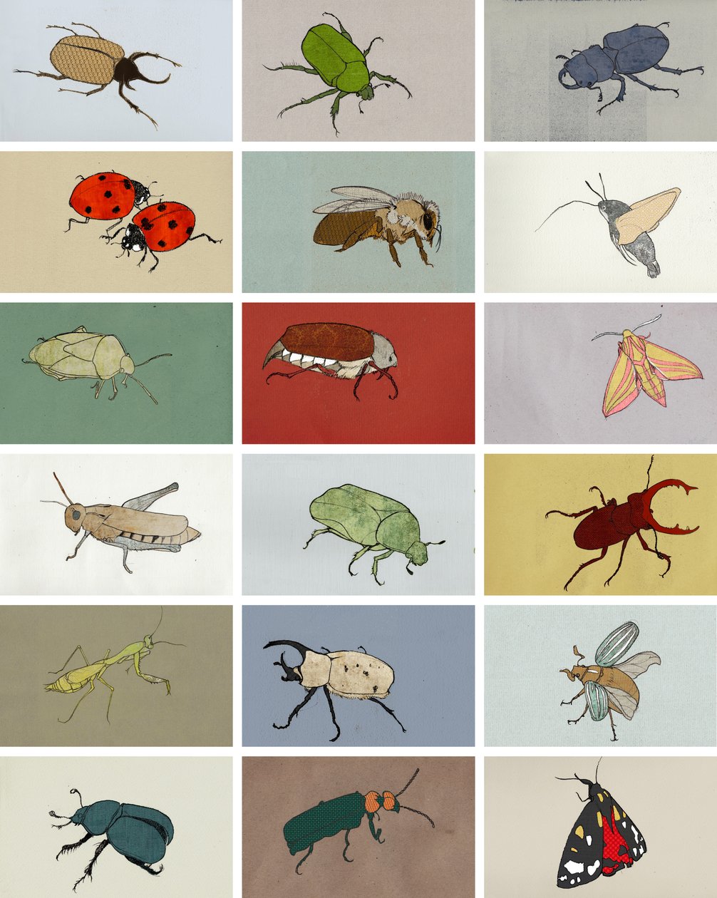 Insecten door Eliza Southwood