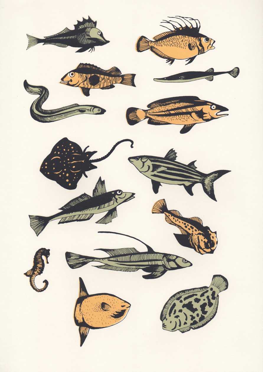 Vlakke Vis, 2015 door Eliza Southwood