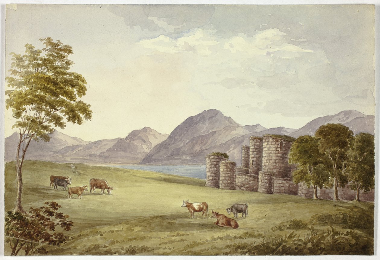 Kasteel van Beauman door Elizabeth Murray