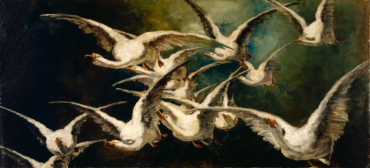 Kudde ganzen door Elizabeth Nourse