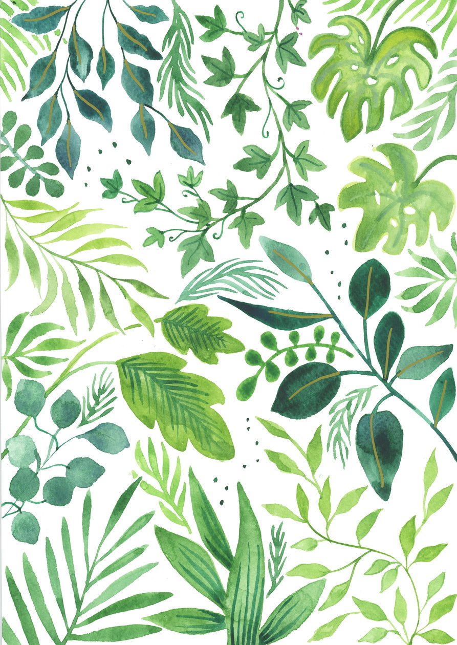 Leafy Medley, 2018 (aquarel) door Elizabeth Rider