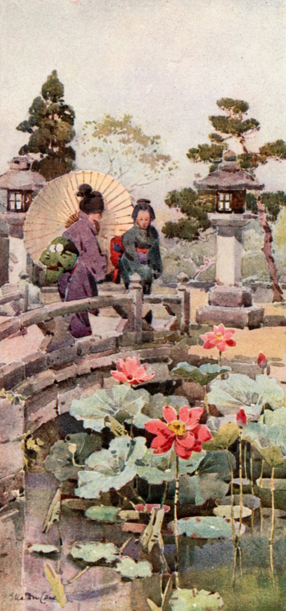 Lotusbloemen (kleurenlitho) door Ella Du Cane