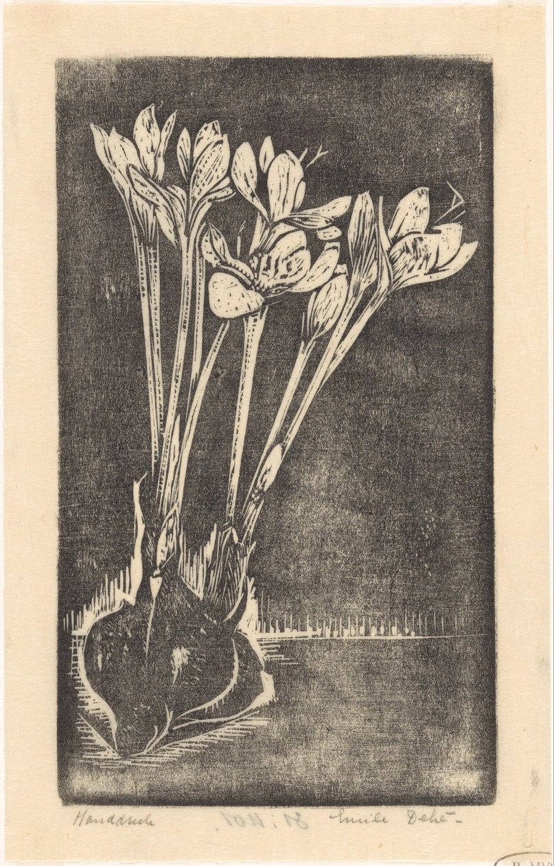 Herfsttijloos door Emilius Wilhelmus Dehé (signed by artist)