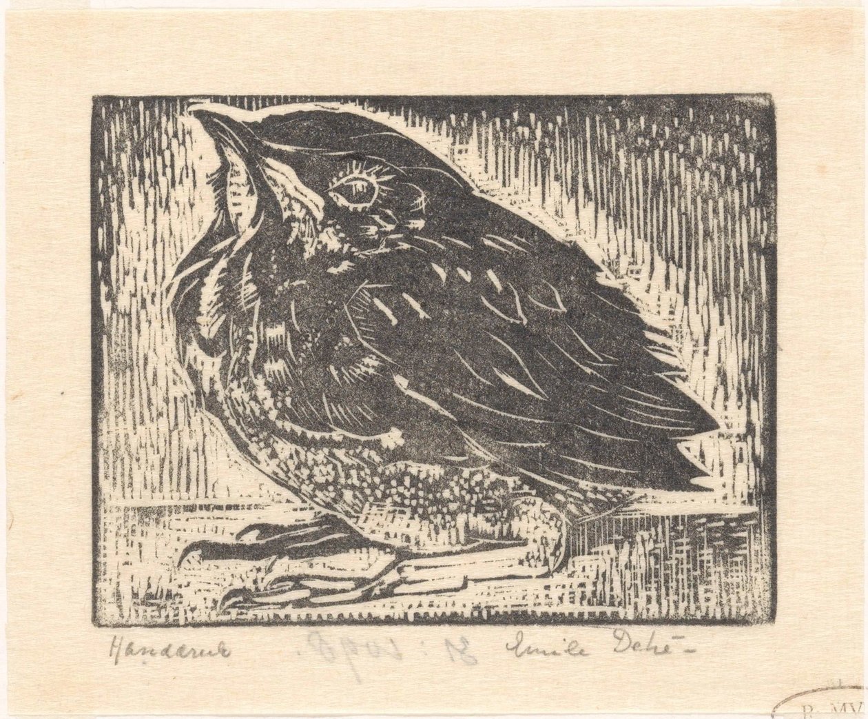 Vogeljong door Emilius Wilhelmus Dehé (signed by artist)