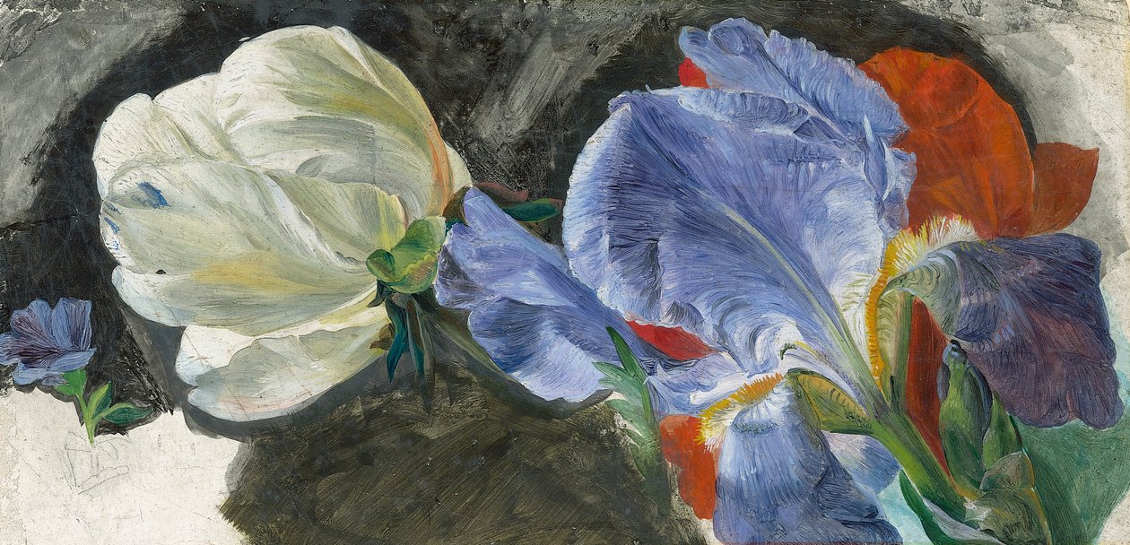 Een studie van bloemen door Emily Stannard