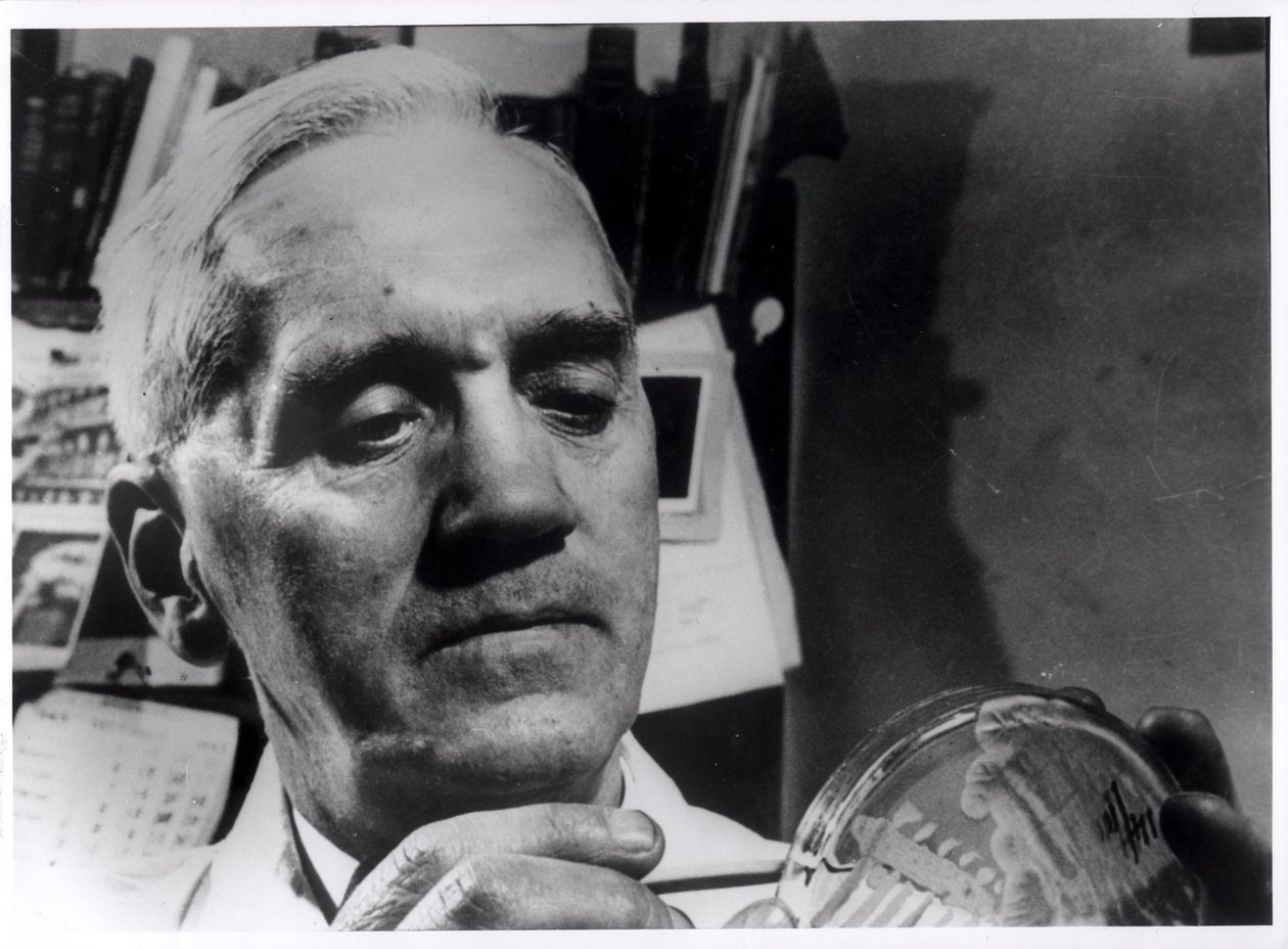 Alexander Fleming (1881-1955) ca. 1945 door English Photographer
