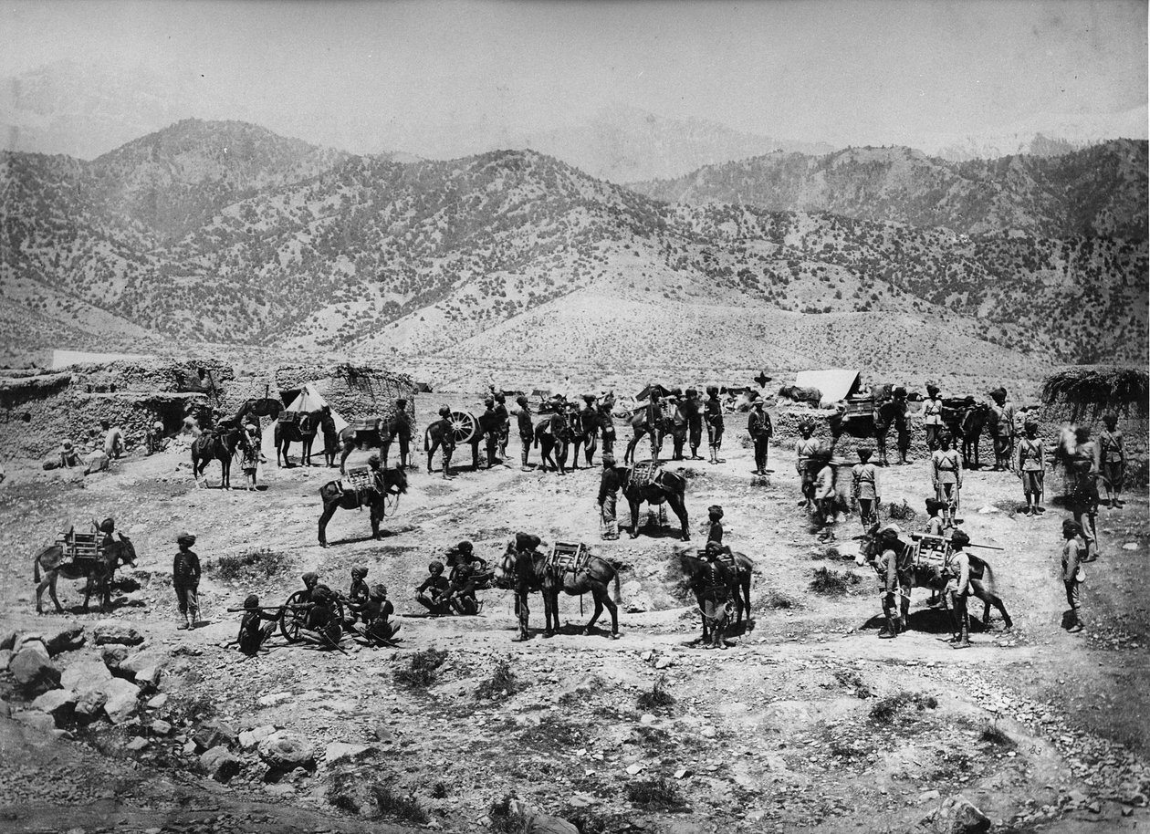 Inheemse bergbatterij, de Punjab Frontier Force in de Kuram Vallei, 1878-80 door English Photographer