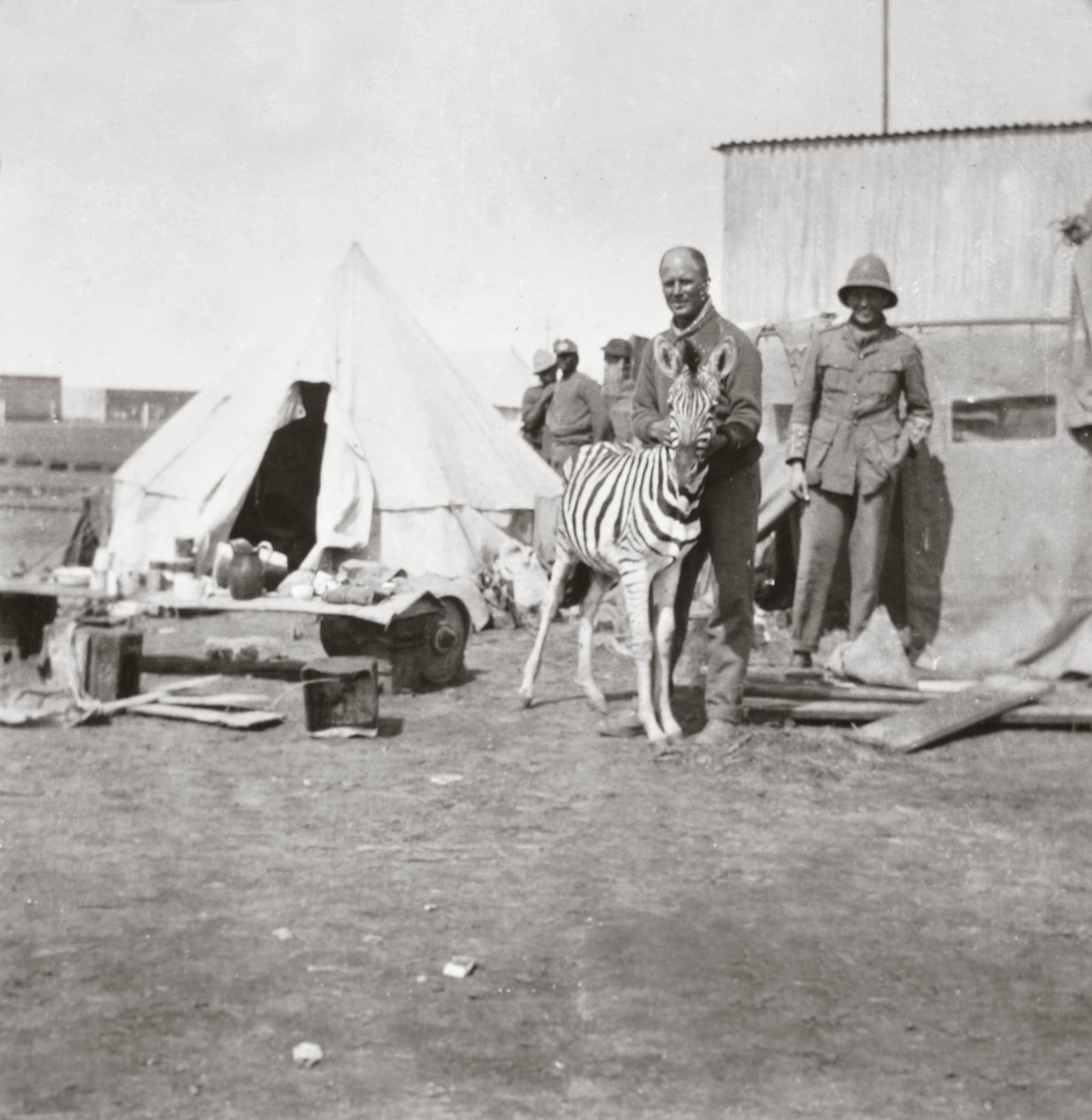 Zuid-Afrikaanse kanonniers met hun huisdierzebra in Oost-Afrika door English Photographer