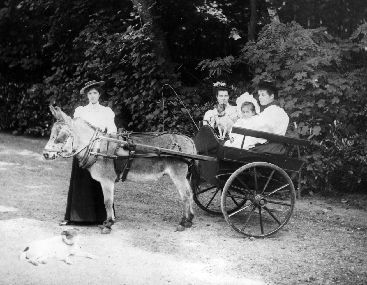 Victoriaanse Ezelkar, c.1890 door English Photographer