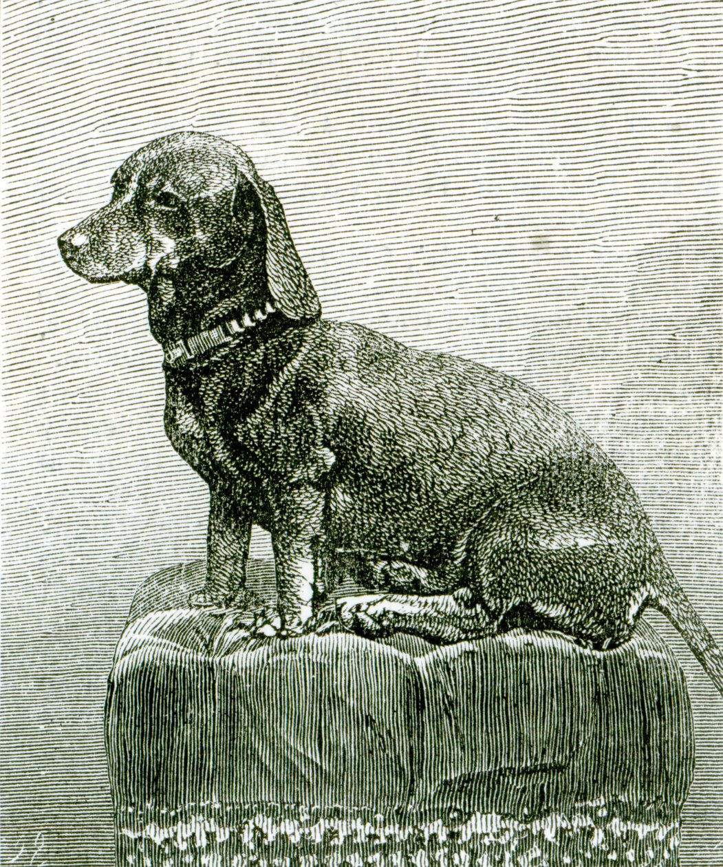 De hond Jacob, uit 